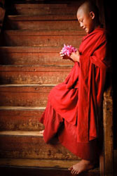 Monk-and-Flower