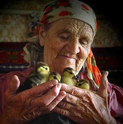 old woman hugging ducklings