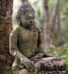 The Buddha sitting in meditation